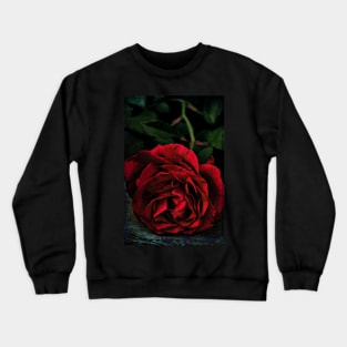 Rose 385 Crewneck Sweatshirt